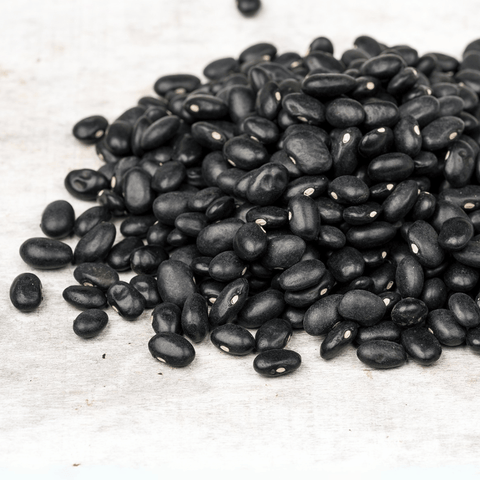Frijol Negro