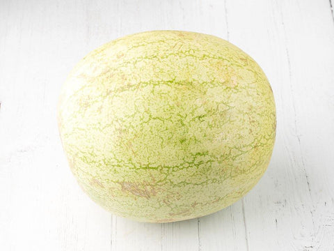 Sandia - Convencional