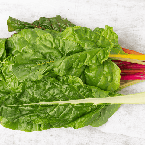 Acelga de Colores