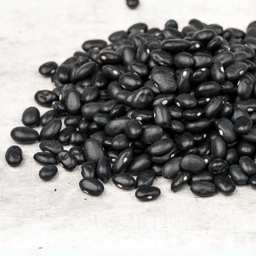 Frijol Negro