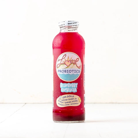 Kombucha – Blaubeeren und weißer Tee (Blaubeere)