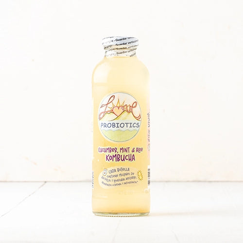 Kombucha – Gurke & Minze (Gurke)
