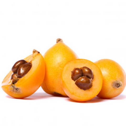 Nispero - Convencional