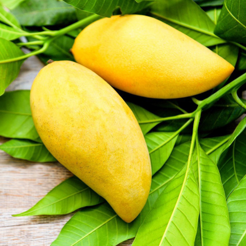 Mammy Mango