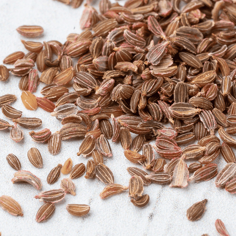 Semillas - Zanahoria