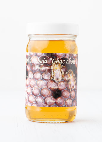 Miel Melipona de Chac Chow