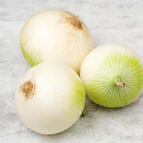 Cebolla Blanca