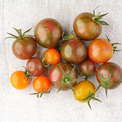 Tomate Cherry