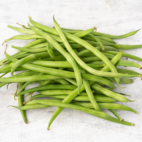 Ejote