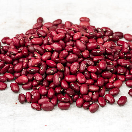 Frijol Rojo