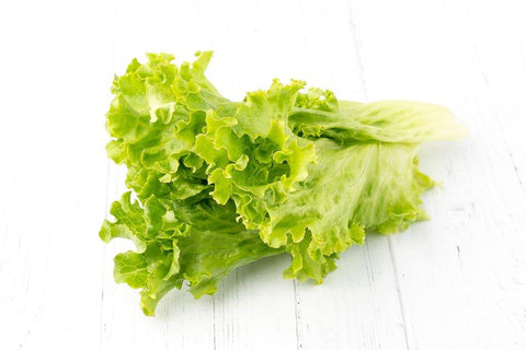 Lechuga Escarola Verde