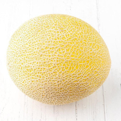 Melon - Convencional