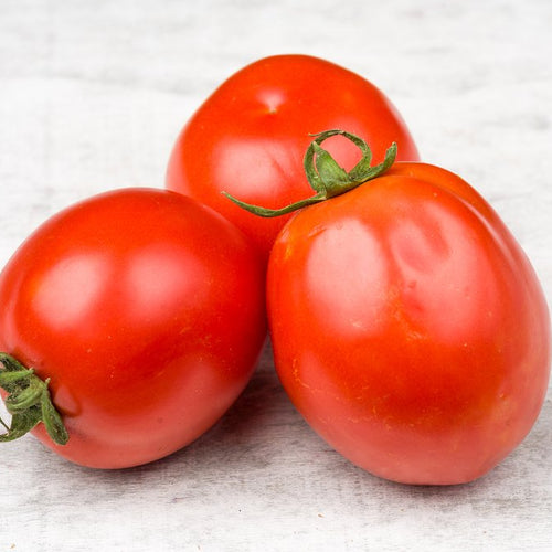 Tomate Roma