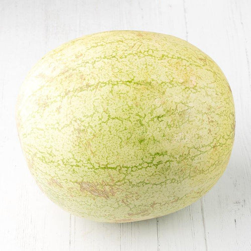 Sandia - Convencional