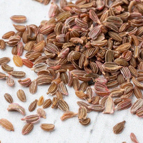 Semillas - Zanahoria