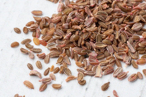 Semillas - Zanahoria